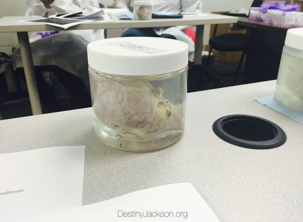 Psychology Class. God's Creations. And Neurologists.